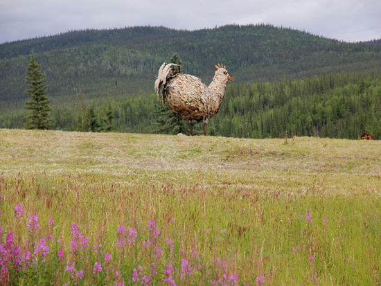 Das war Chicken 2012...; bye, bye...