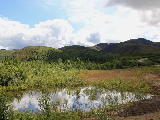 Wir äugen natürlich nach weiteren Exemplaren...