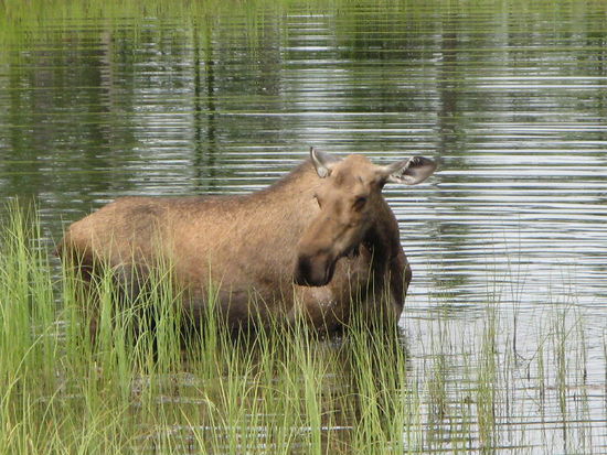 Lange können wir ihr zuschauen..