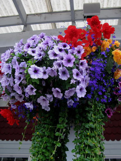 Schön arrangierte Dekorationen beim Restaurant - für uns aber zu kühl, um auf der Terrasse zu sitzen...