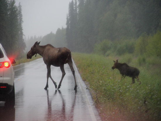 Aber hallo... - wer hat denn Vortritt...? Natürlich von rechts...