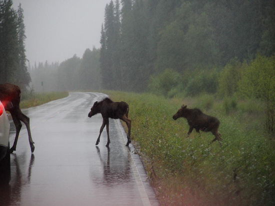 Vorsicht - wir kommen auch noch...