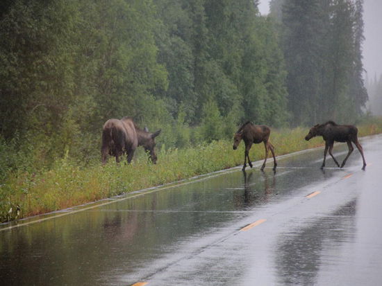 Nun aber zu Mutti, sonst gibt es wieder Stunk...