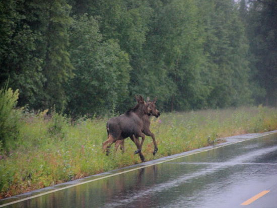 Strasse ist immer gut...