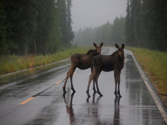 Na, wer schaut denn hier blöd...? Hier kommt ihr nicht durch...
