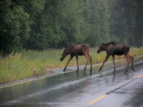 Uns ist es verleidet...