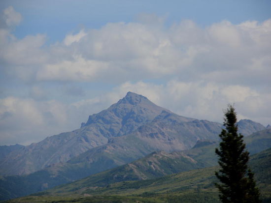 Die Bewölkung hellt sich auf - wir fahren südlich Richtung Denali NP...