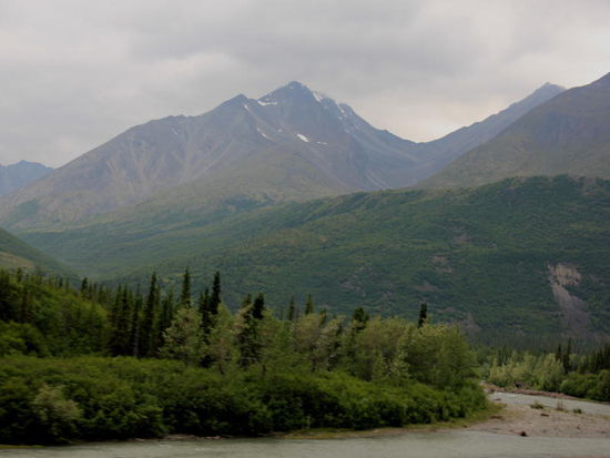 Bei Cantwell biegen wir in den Denali Hwy. ein und suchen uns einen akzeptablen Übernachtungsplatz, die Karte wird vorerst eingenordet, damit wir optimal zum Mount Kinley stehen - sollte er sich zeigen...