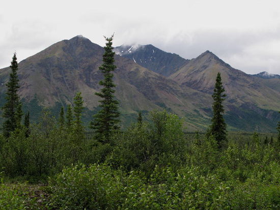Ein Tag später - die Wolken lichten sich ganz wenig - Hoffnung kommt auf, wir könnten den Mount Kinley doch noch sehen...