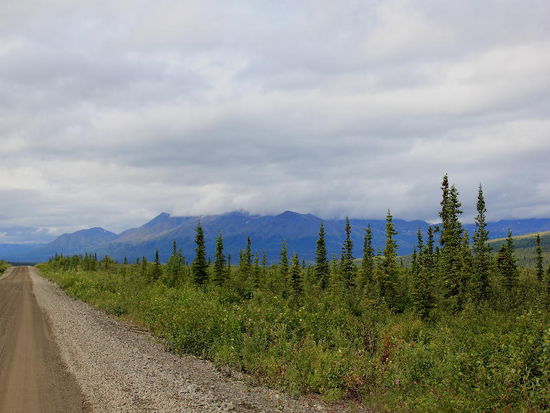 Die Hoffnung stirbt zuletzt...