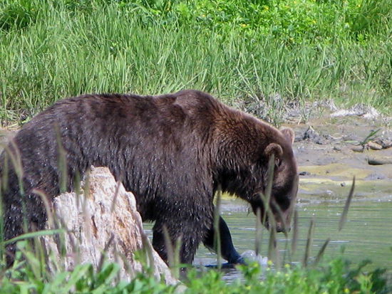 Mir stinkt's - meint wohl der Eine... und zieht davon...