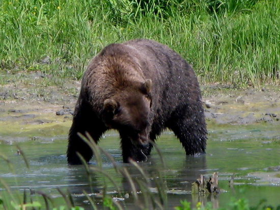 Mal genauer hinschauen...