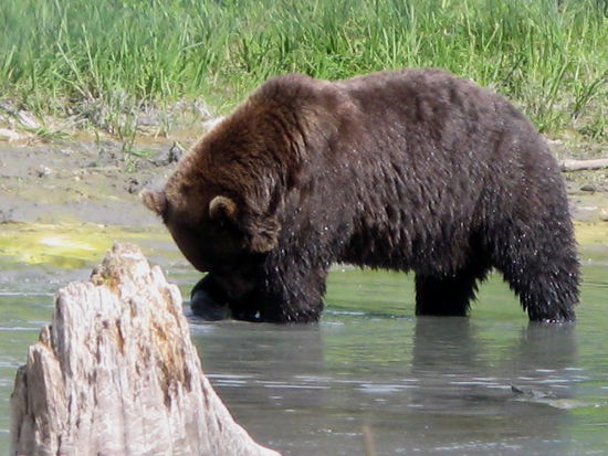 Brauch wohl bald eine Lupe...