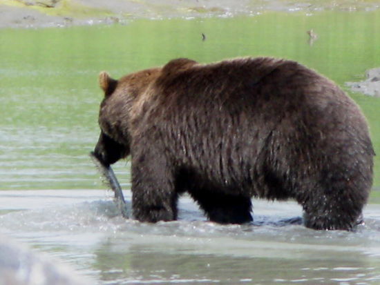 ok. geht noch ohne...! Danke fürs Dessert...