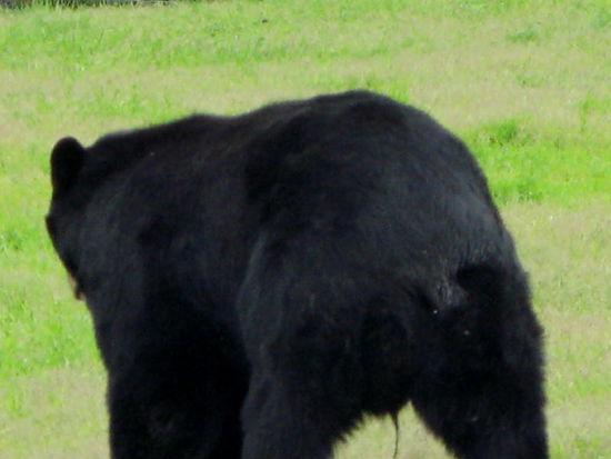 Mir stinkt die ganze Fotografiererei...; tschüss...