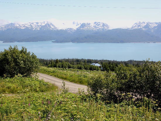 Homer verfügt über eine Tsunami-Fluchtstrasse...; im Ernstfall würde über diese Strasse evakuiert...