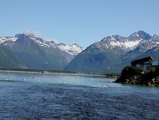 Am andern Morgen..., schönes Wetter...; wir brechen auf...; was ist denn hier los - ein Gerangel im Wasser...