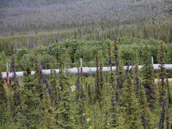 Die Alaska Pipeline wird auf Stelzen geführt, damit sie sich nicht absenkt, wenn der Permafrost auftaut...; kurz hinter der nächsten Pumpstation verschwindet sie aber im Boden...
