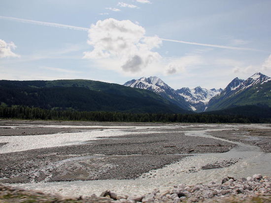 Fahren wieder weiter....; wir sehen einen Grizzly über die Strasse rennen, auf der andern Seite macht er kurz "Männchen" und rennt zurück in den Wald...