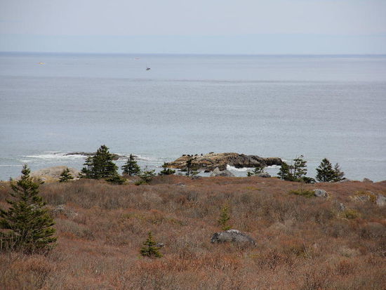 Die Aussicht auf den Atlantik...
