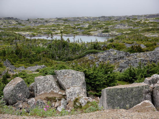 Steine, Steine, früher vermutlich nur im Winter passierbar...; wir haben nur Bilder mit Schnee gesehen, wie die Männer im "Goldrush" zum Whitepass  hochgestiegen sind...