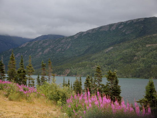 Wir passieren den kanadischen Zoll, lassen die grüne Karte aus dem Pass entfernen und reisen damit offiziell aus den USA aus...