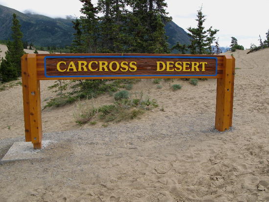 Die Wüste von Carcross...; vom Bennet Lake her weht der Wind Sand...; es haben sich Dünen gebildet...