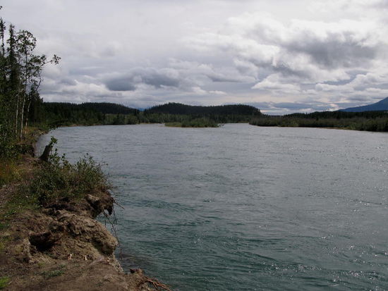 Zuerst machen wir uns auf den Weg zur grössten hölzernen Fischtreppe der Welt am Yukon River...