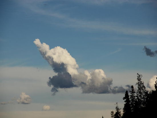 Allerdings - auch diesmal wird der Himmel finsterer und ein Gewitter bahnt sich an...; teilweise heftige Regenschauer, ein paar Blitze... und es wird merklich kühler...