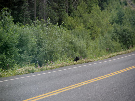 Mal schauen, ob die Luft nun rein ist...
