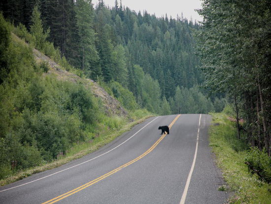 Ist doch besser auf der andern Seite...