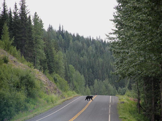 Blödes Spiel, ich hau ab...