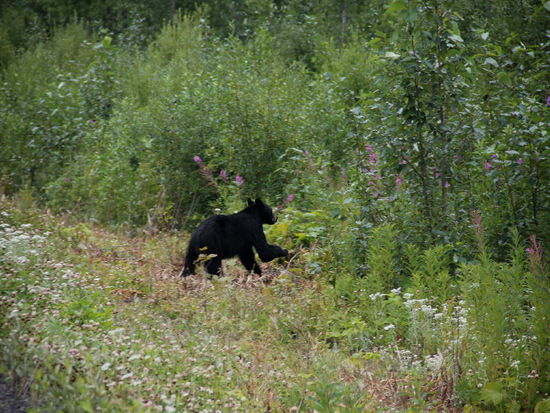 Als ob er ein schlechtes Gewissen hätte...