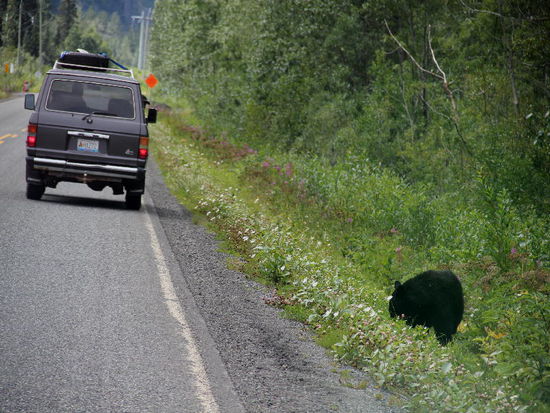 Stopp, da ist schon wieder einer...