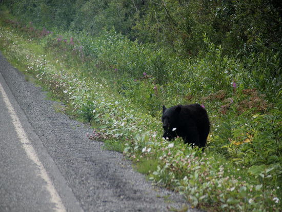 Na der ist aber niedlich...