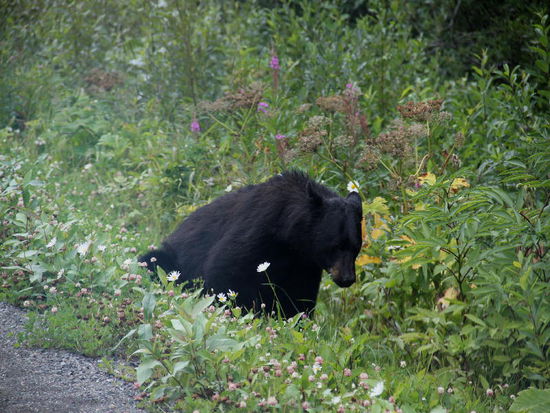 Schon  wieder vorbei...