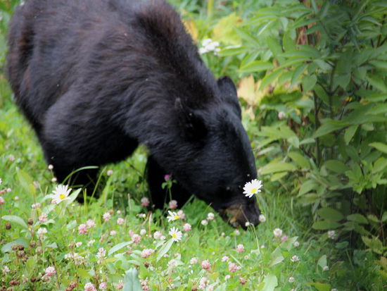 Das riecht aber wirklich gut hier...