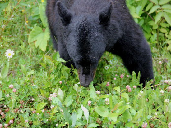 Na egal, ich fress mir einen...