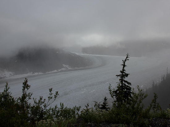 Das fahle Sonnenlicht versucht den aufsteigenden Nebel zu durchdringen...