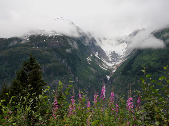 Auch in den Seitentälern immer wieder Eis - und das auf rund 1200 m Höhe...