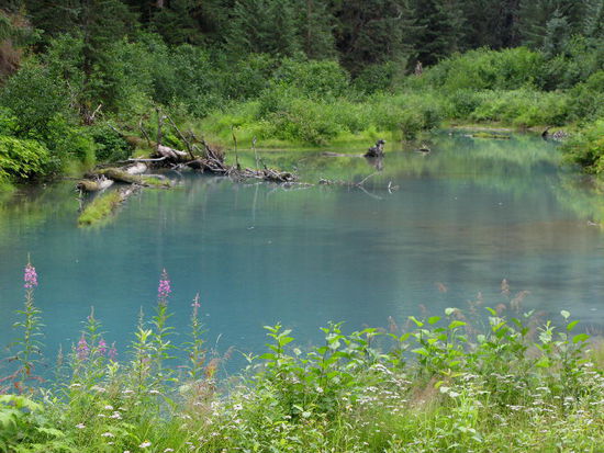 Auf der Rückseite liegt ein kleiner See...