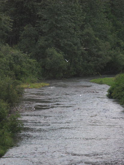 Der "Tisch" ist reich gedeckt...