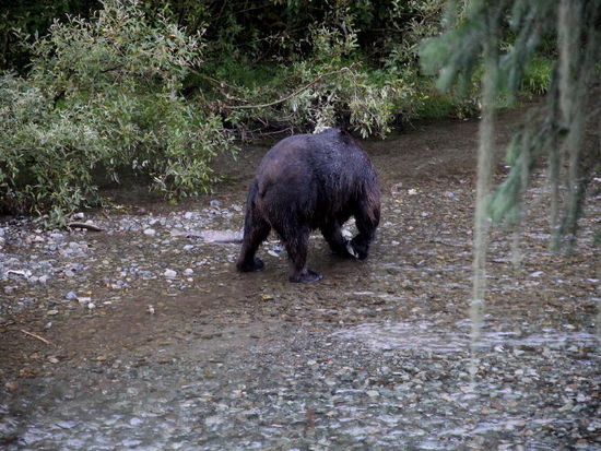Er verabschiedet sich und sucht sein Nachtlager auf...