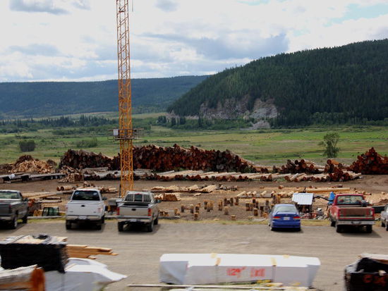 Auch die Holzwirtschaft wird gepflegt...