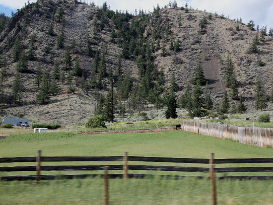 Der Bewuchs ist eher spärlich, hin und wieder ein Pferdegestüt, ein paar Häuser...