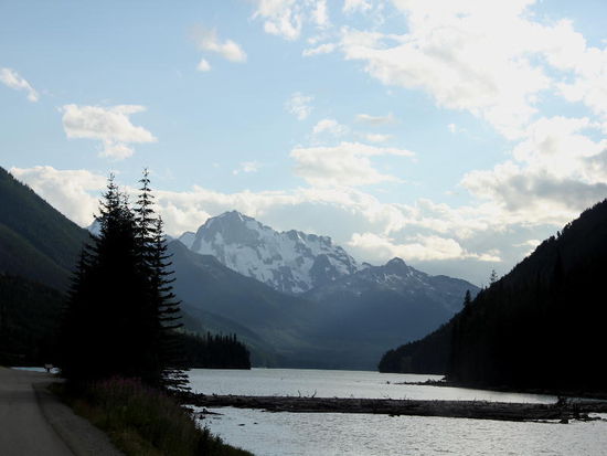 Der Fraser-River wird breiter, eine Unmenge an Holz liegt quer über dem Fluss...