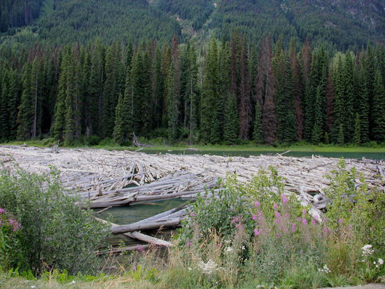 Ob hier geflööst wird...? Wir wissen es nicht...