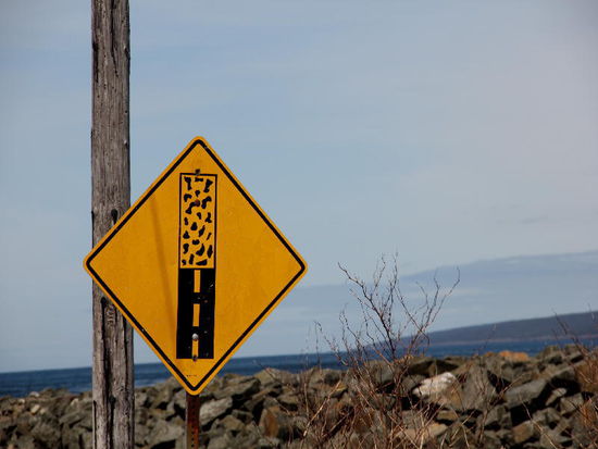 Beginn einer Schotterstrasse...