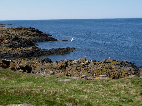 Bestaunen die Gezeiten...