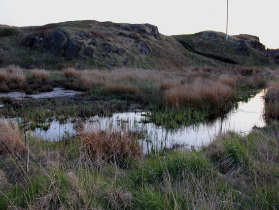 Und lauschen dem Getöse der Frösche im Tümpel...